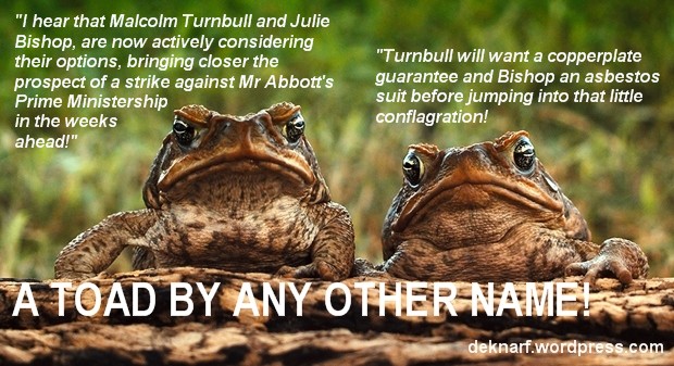Abbott Ruction Toads