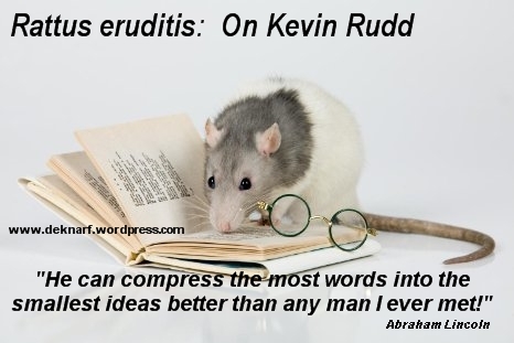 Rudd Rat Eruditis